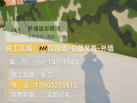 景德镇 迷彩漆喷涂价格（按平方米计费）