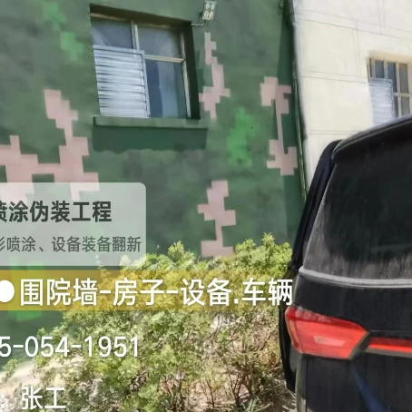 景德镇数码迷彩漆施工